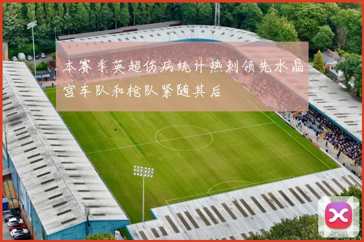 本赛季英超伤病统计热刺领先水晶宫车队和枪队紧随其后